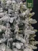 Набор елочных украшений  "Морозное ожерелье», прозрачный 6 шт