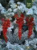 "Набор елочных украшений ""Виноград"" , красный 3 шт "