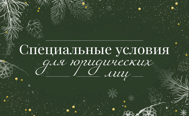 Специальные условия для компаний и плательщиков НДС